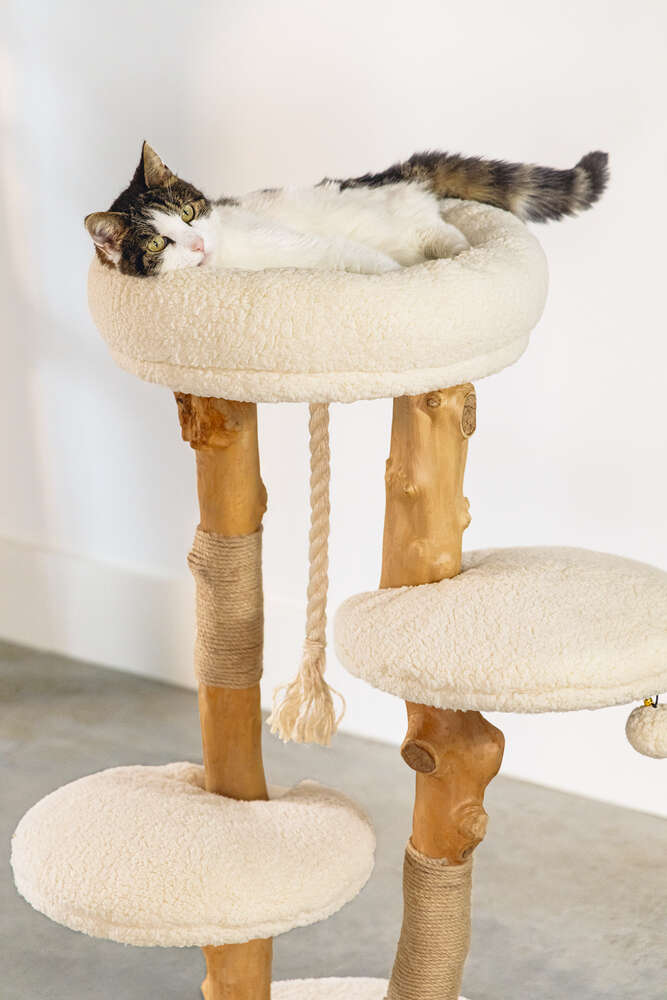 Designed by Lotte Kratzbaum Vanja